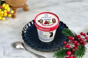 Сорбет из брусники