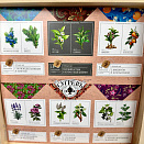 Шкатулка с 6 видами пакетированного чая