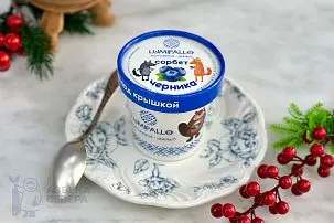 Сорбет из черники
