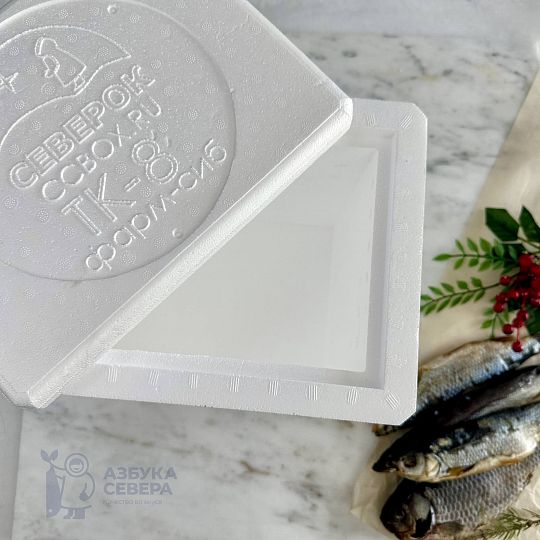 Термобокс малый