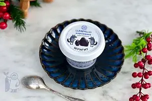 Мороженое с шунгитом