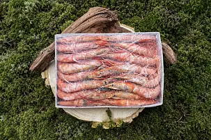 Креветки аргентинские свежемороженые