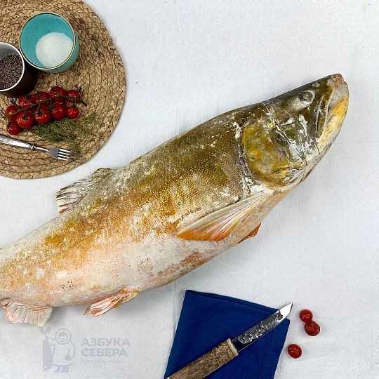 Голец арктический свежемороженый