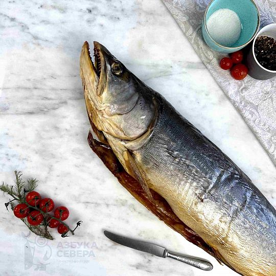 Голец холодного копчения