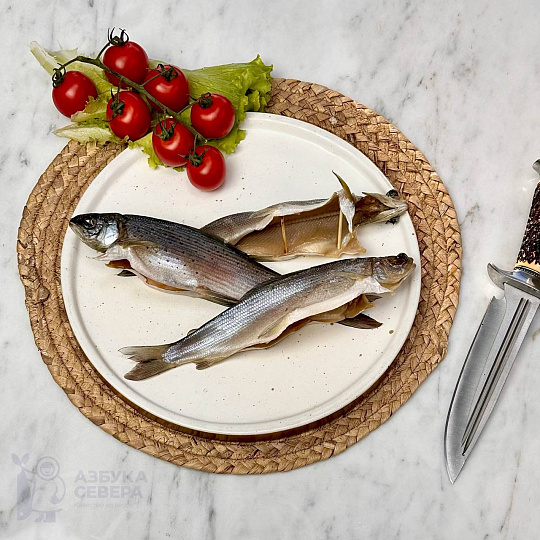 Хариус холодного копчения
