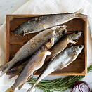 Хариус вяленый