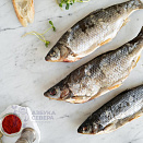 Чебак Белогорский вяленый