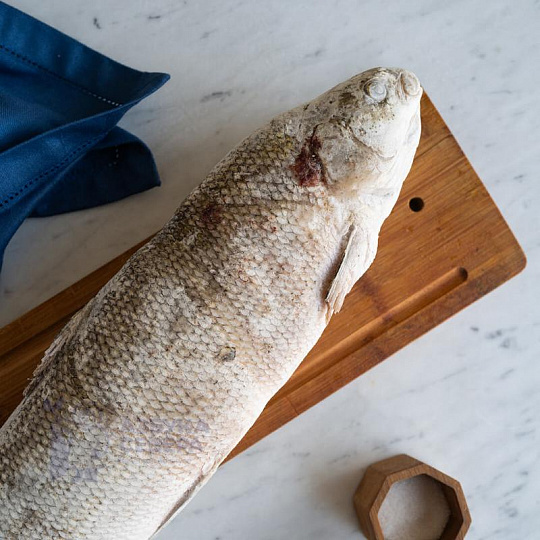 Чир свежемороженый 1,5 - 2,5 кг