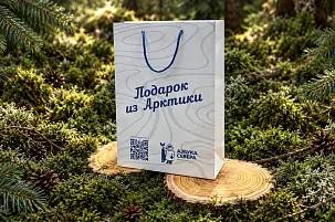 Пакет подарочный малый