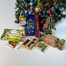 Новогодний детский набор