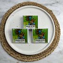 Живой шоколад на меду с кедровым орехом