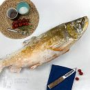 Голец арктический свежемороженый