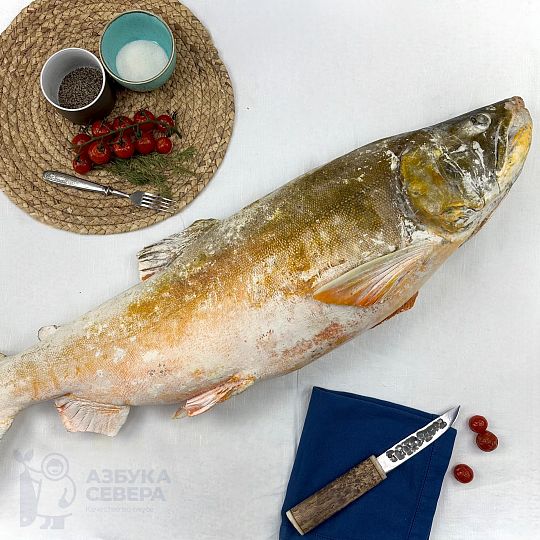 Голец арктический свежемороженый