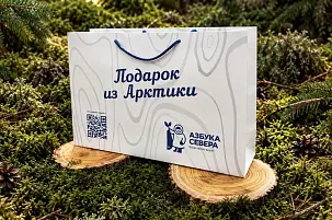 Пакет подарочный большой