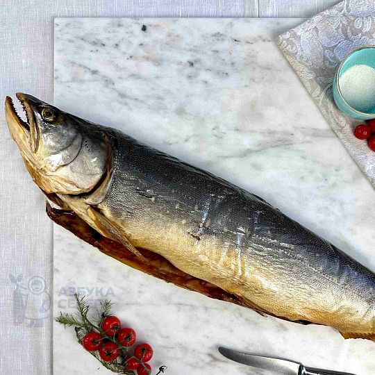 Голец холодного копчения