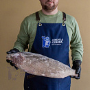 Чир отборный свежемороженый 2,5 - 3,5 кг