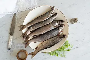 Хариус слабосоленый