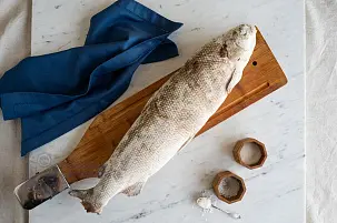 Чир свежемороженый 1,5 - 2,5 кг