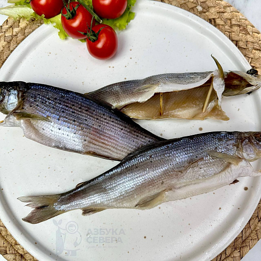 Хариус холодного копчения