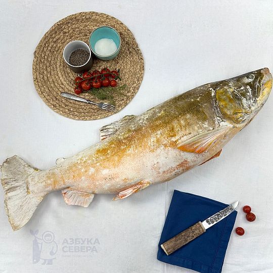 Голец арктический свежемороженый