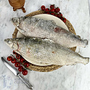 Пелядь свежемороженая, вылов 2025