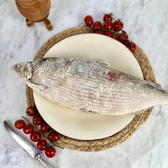 Пелядь свежемороженая, вылов 2025