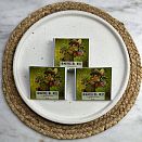 Живой шоколад на меду с земляникой