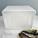 Термобокс большой