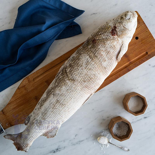 Чир свежемороженый 1,5 - 2,5 кг