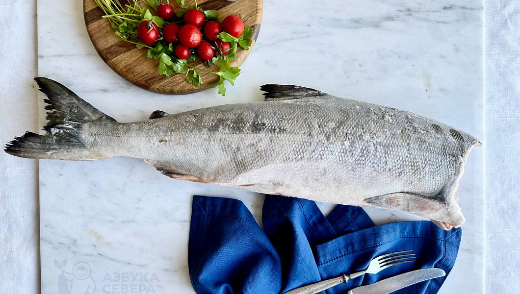 Кета свежемороженая тушка