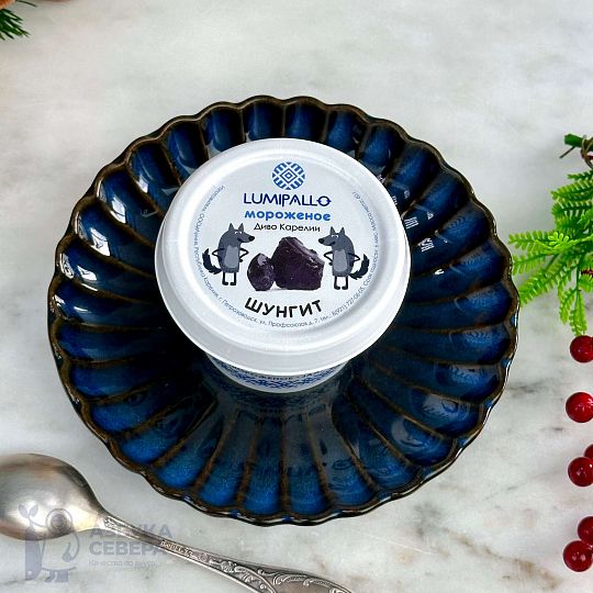 Мороженое с шунгитом